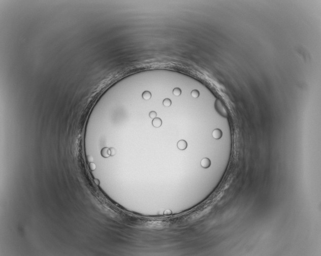 X0000115690153200911121015