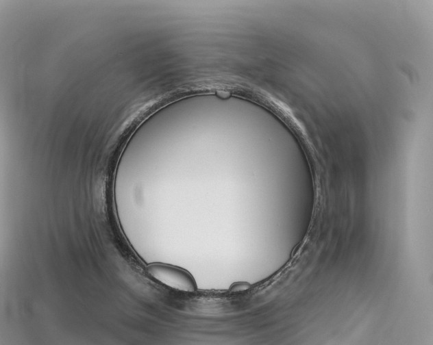 X0000115690154200911121015