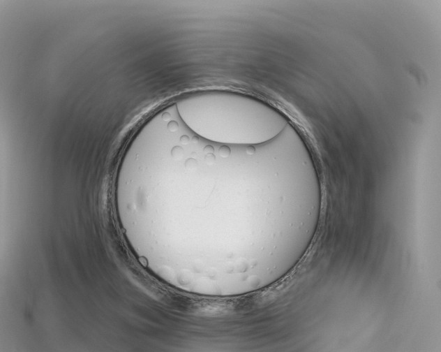 X0000115690155200911121015