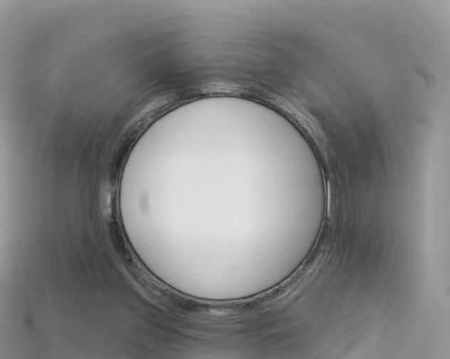 X0000115690157200911121015
