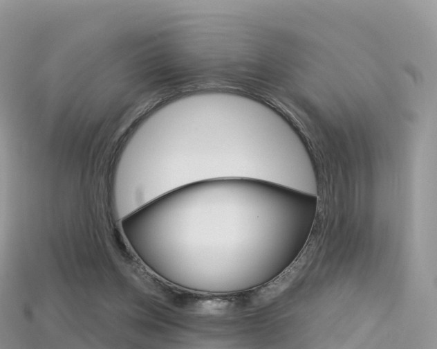 X0000115690158200911121015