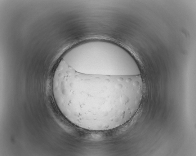 X0000115690159200911121015