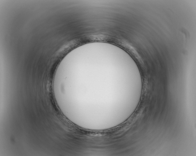 X0000115690161200911121015