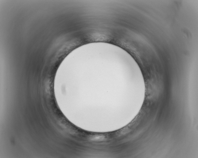 X0000115690162200911121015