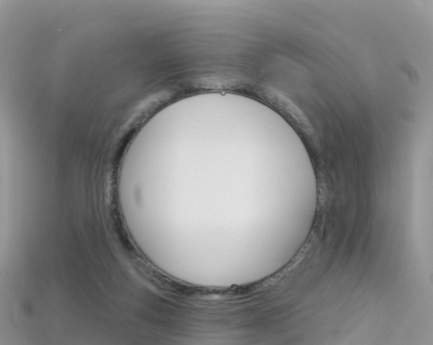 X0000115690163200911121015