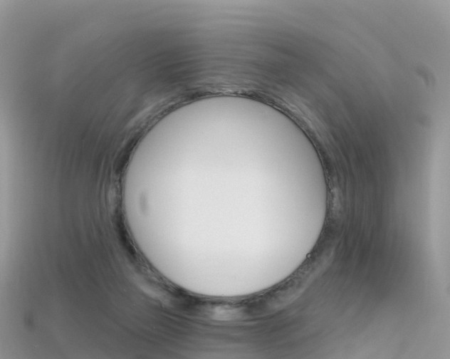X0000115690165200911121015