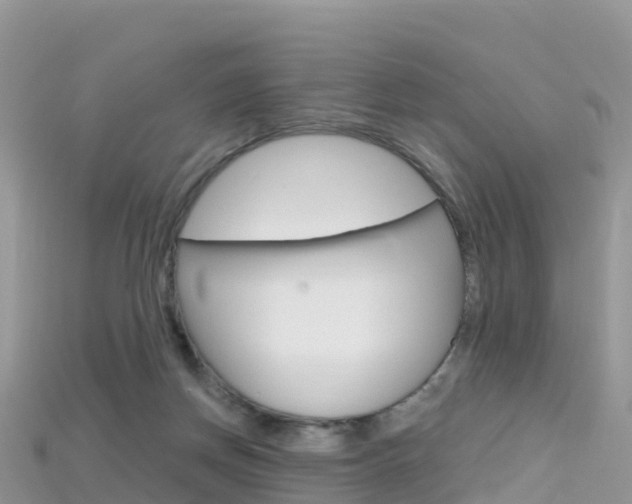 X0000115690166200911121015