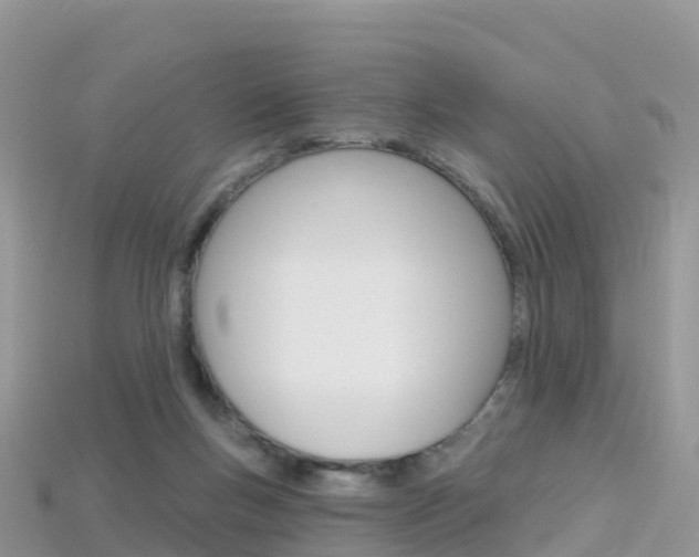 X0000115690167200911121015