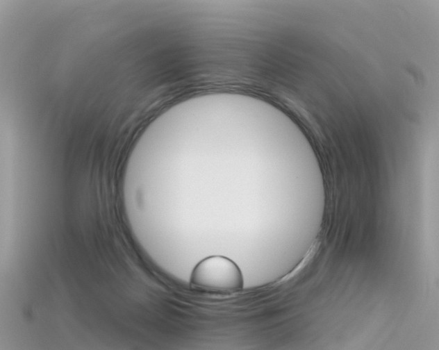 X0000115690170200911121015