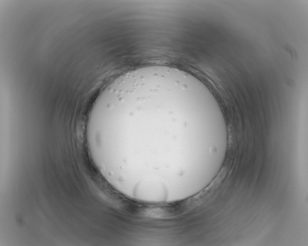 X0000115690171200911121015