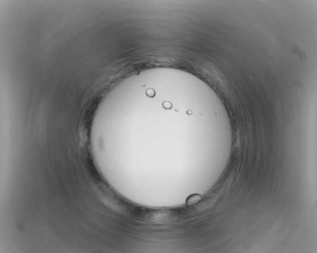 X0000115690173200911121015