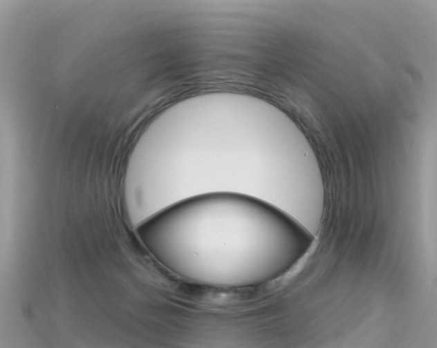 X0000115690174200911121015