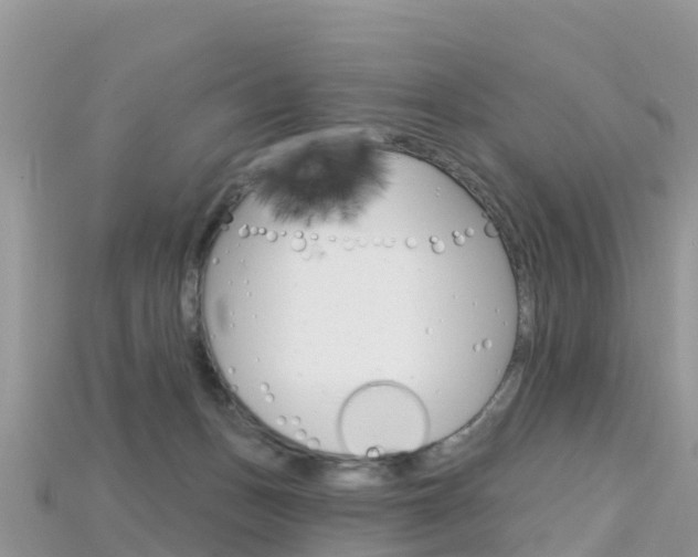 X0000115690175200911121015