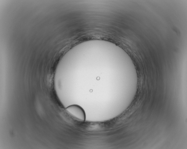 X0000115690177200911121015