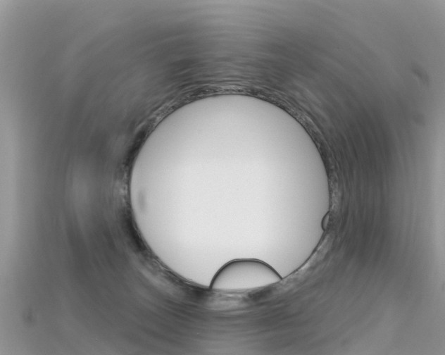 X0000115690179200911121015