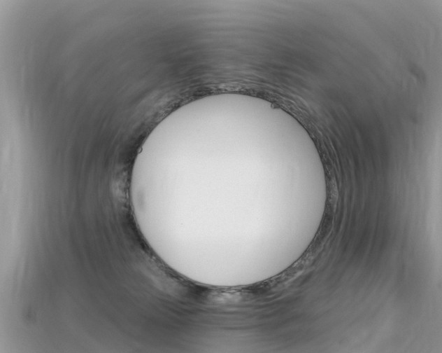 X0000115690181200911121015