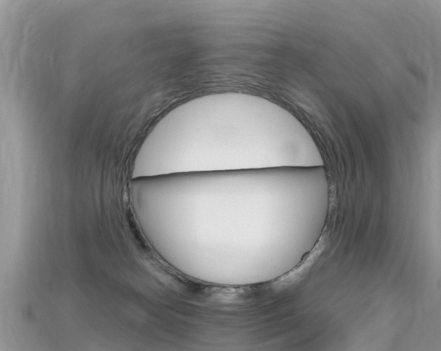 X0000115690182200911121015