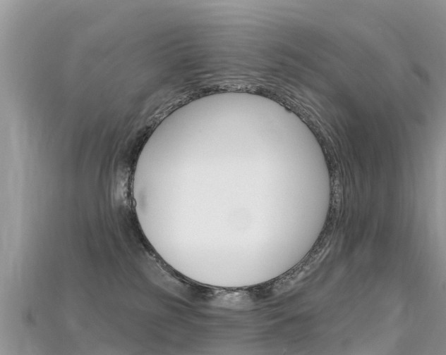 X0000115690185200911121015
