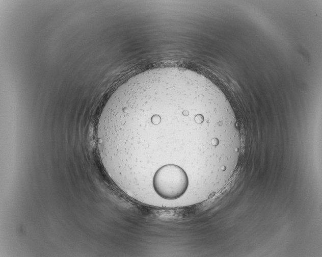 X0000115690187200911121015