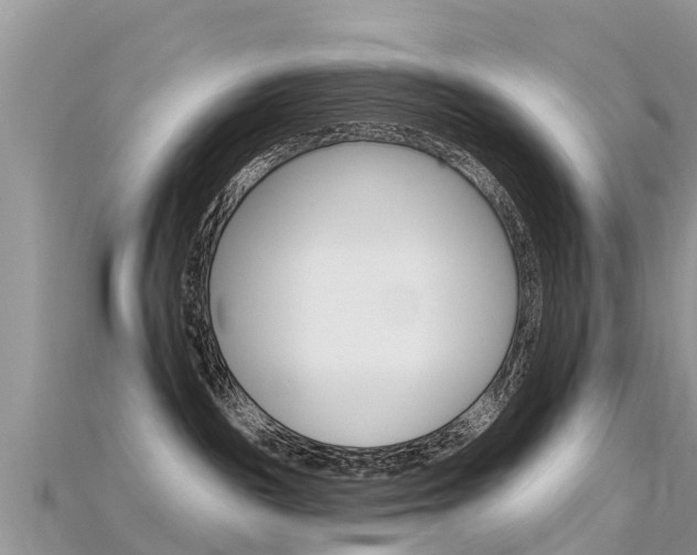 X0000115690189200911121015