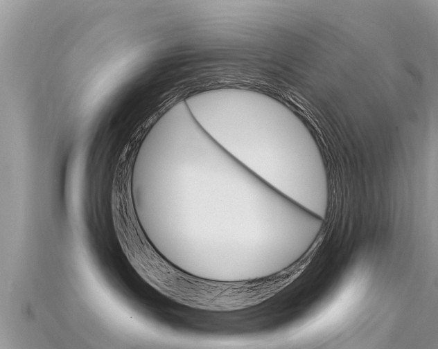 X0000115690191200911121015