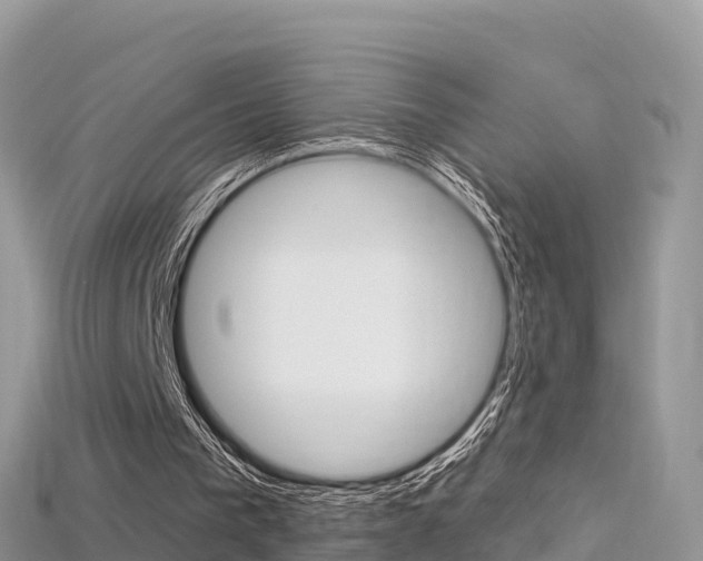 X0000115690193200911121015