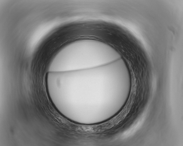 X0000115690194200911121015