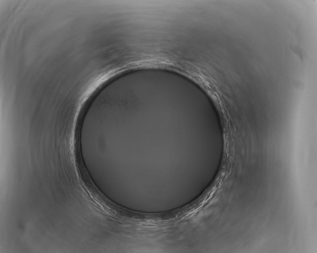 X0000115690196200911121015