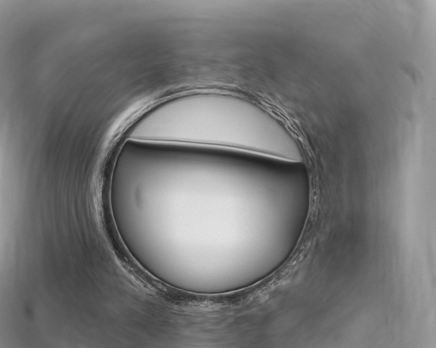 X0000115690197200911121015