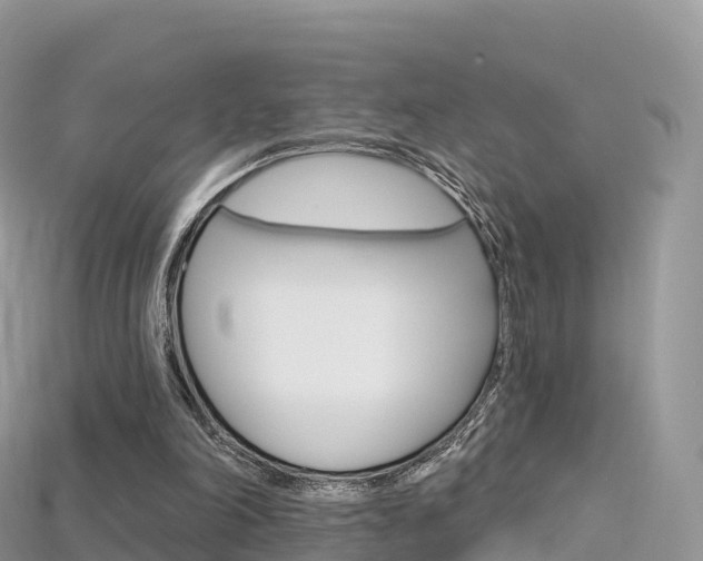 X0000115690198200911121015