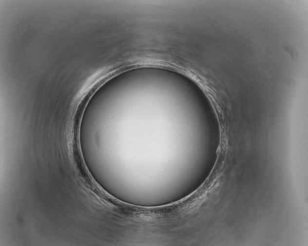 X0000115690199200911121015