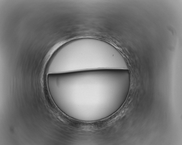 X0000115690200200911121015