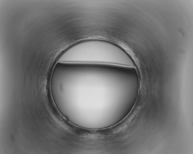 X0000115690201200911121015