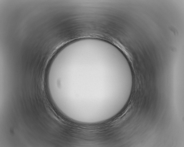 X0000115690203200911121015