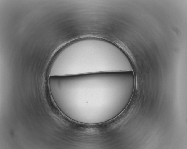 X0000115690204200911121015
