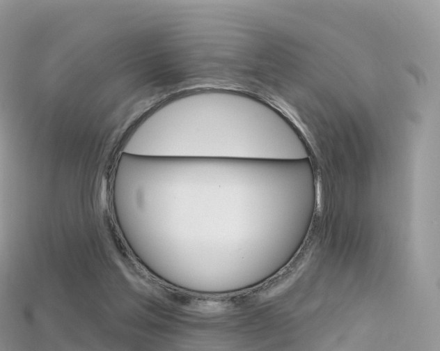 X0000115690205200911121015