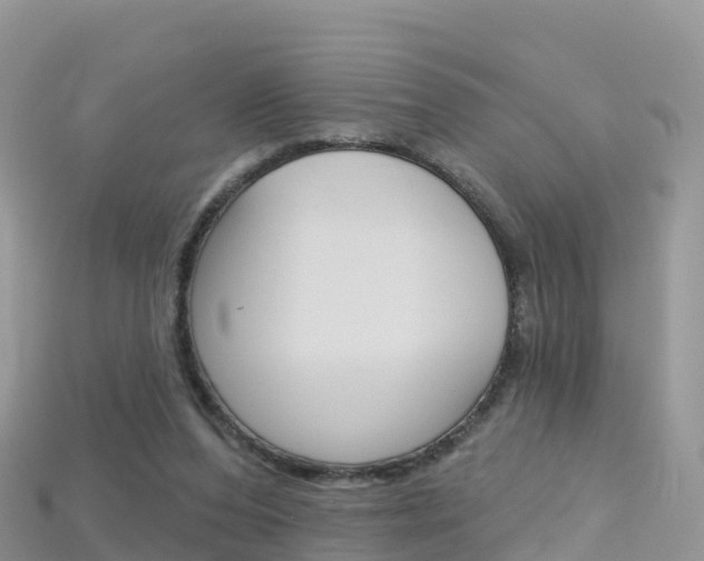 X0000115690208200911121015