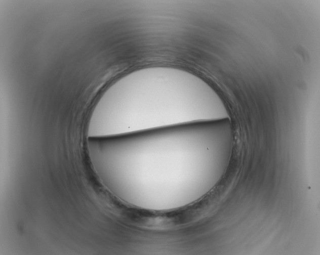 X0000115690212200911121015