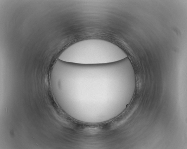 X0000115690213200911121015