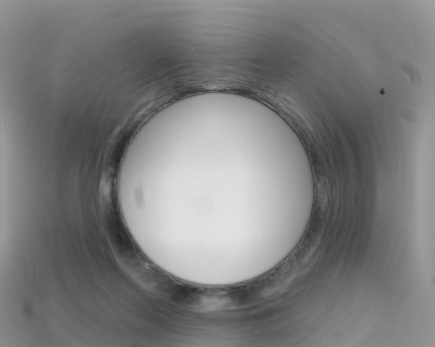 X0000115690214200911121015
