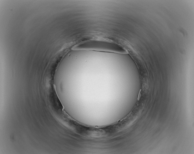 X0000115690215200911121015