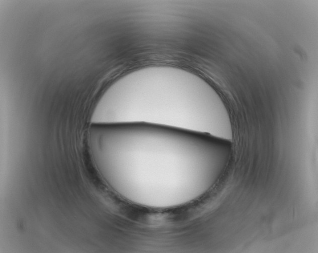 X0000115690216200911121015