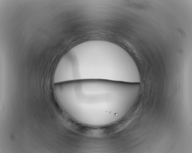X0000115690217200911121015