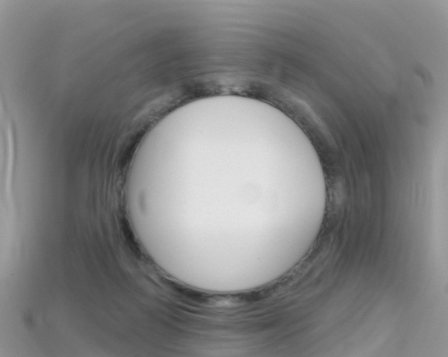 X0000115690218200911121014