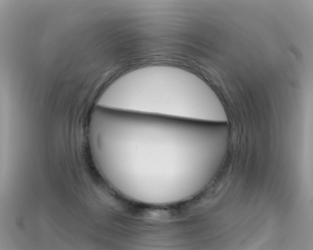 X0000115690220200911121014