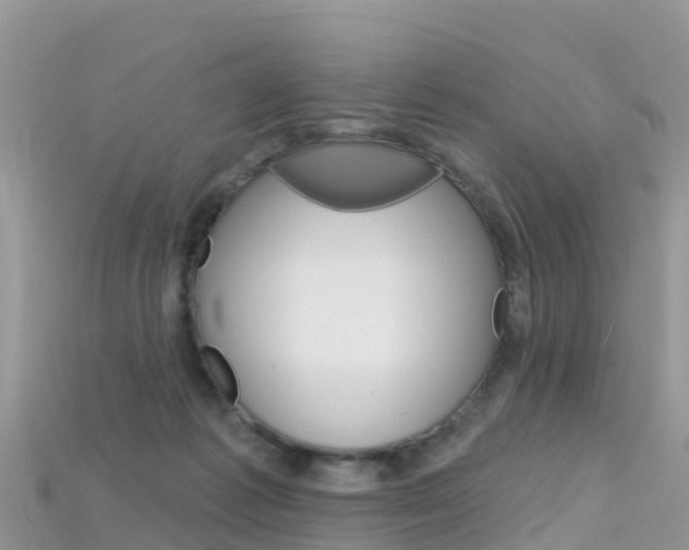 X0000115690221200911121014