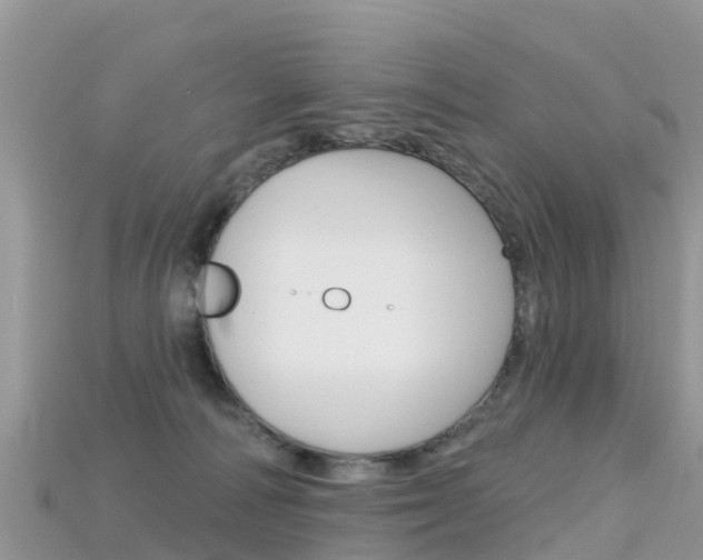 X0000115690226200911121014