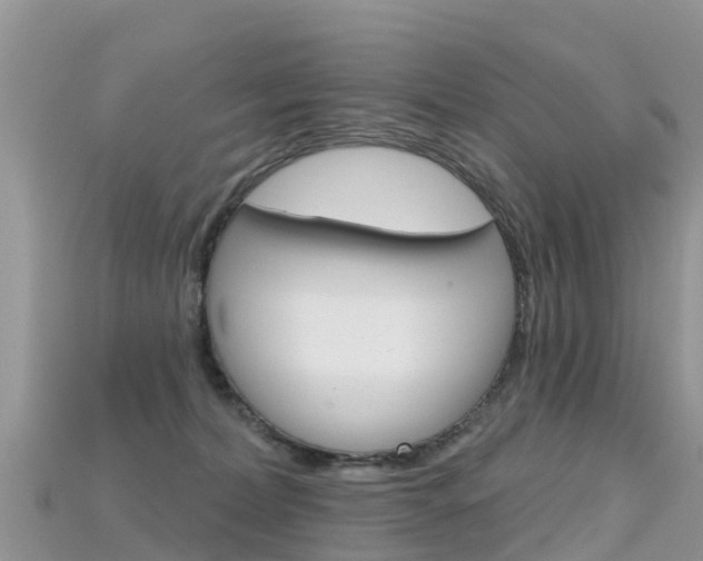 X0000115690228200911121014