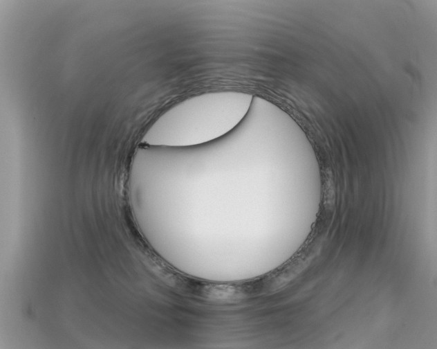 X0000115690230200911121014