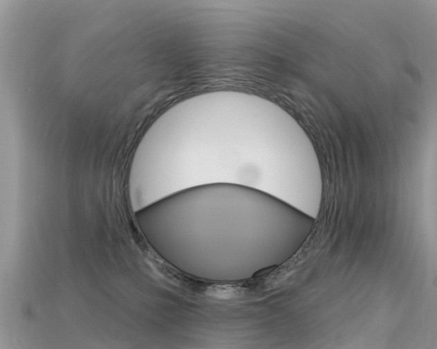 X0000115690231200911121014
